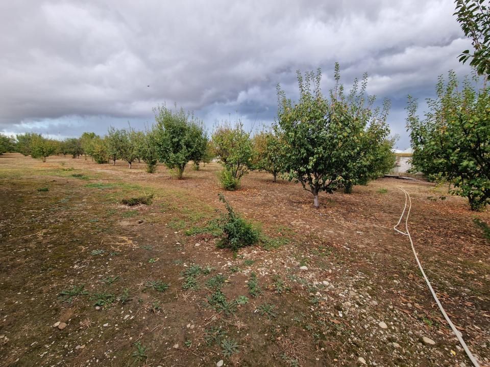 Teren de vanzare  intravilan 700 mp + 800mp livada  Racovița (DB) – fotografia 2 din 3