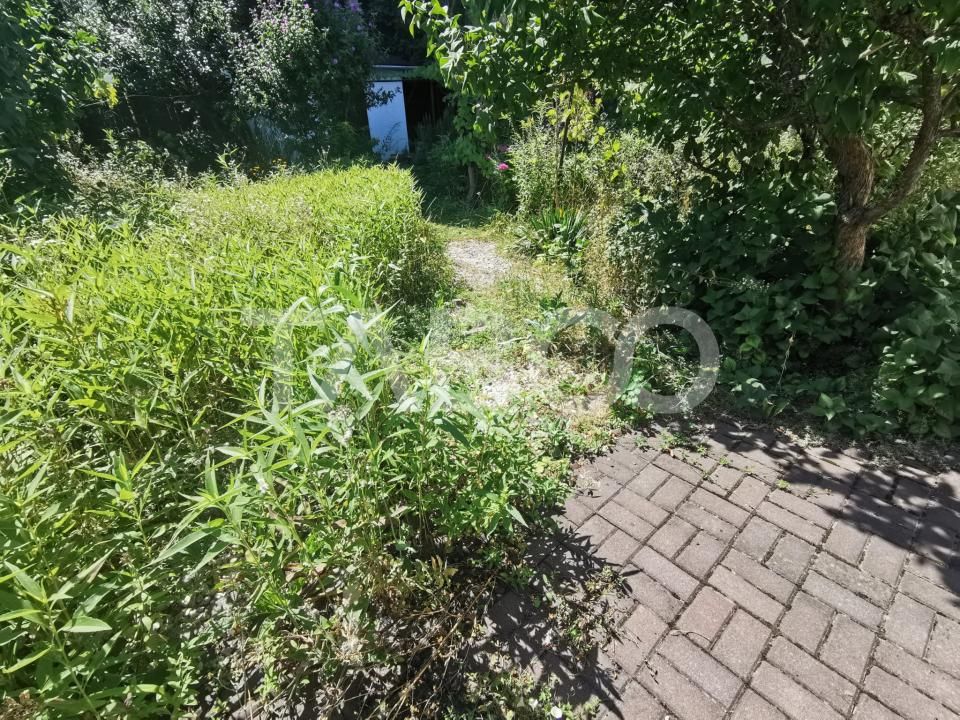 Casa cu 2 camere decomandate 335 mp teren in zona Parcul Tineretului – fotografia 14 din 14