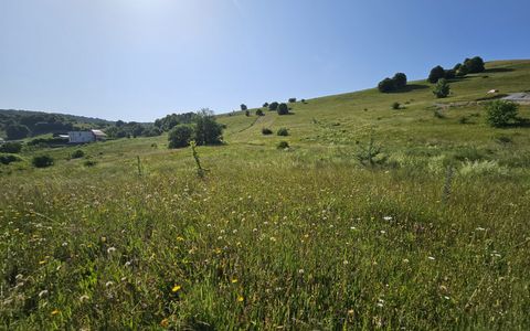Teren construibil in proximitatea pensiunii ”La Mesteceni”