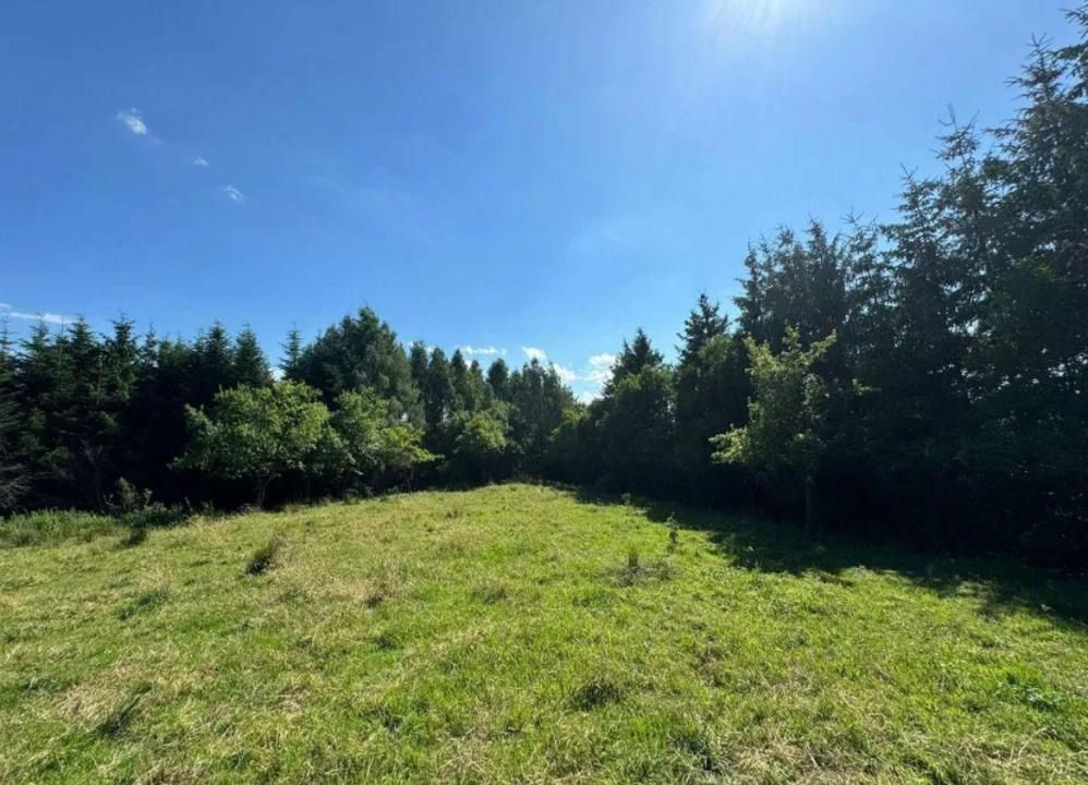 Teren intravilan 5.755 mp | Zona Muzeul Satului Maramureșean, Sighetu Marmației – fotografia 3 din 6