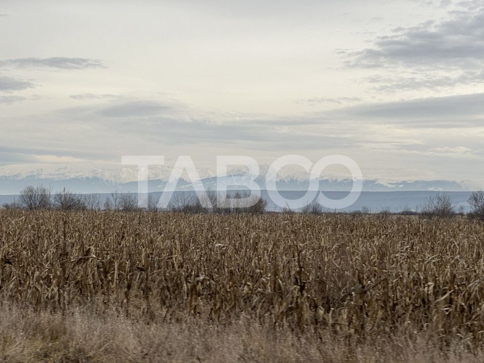 Teren pretabil investitie 3611 mp de vanzare in Cristian judetul Sibiu – fotografia 2 din 2