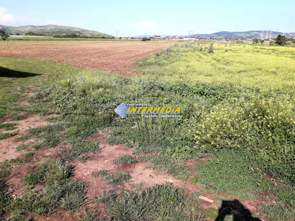 Teren Intravilan de vanzare 3550 mp Alba-Micesti – fotografia 1 din 1