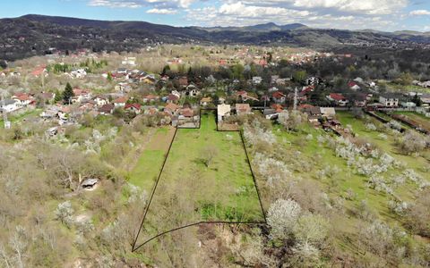 4898 MP Teren Intravilan | Prahova - Cornu De Jos | Toate Utilitatile Prezente