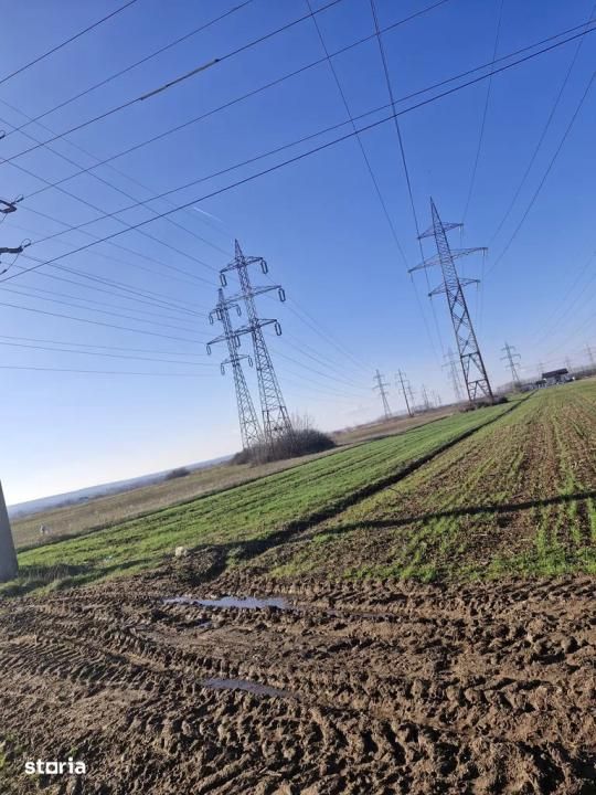 Teren de vânzare 5000 mp, Dumbrava ,DB – fotografia 1 din 2