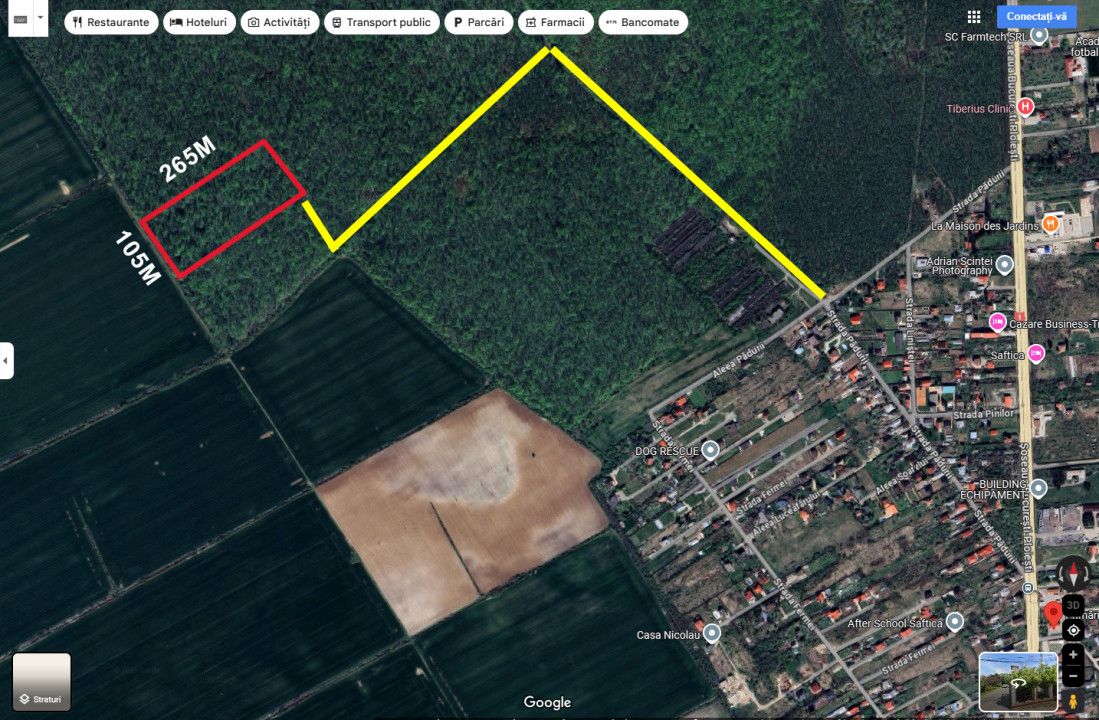 Padure 28.000mp - Saftica - 2e/mp - INVESTITIE - cel mai MIC pret – fotografia 2 din 6