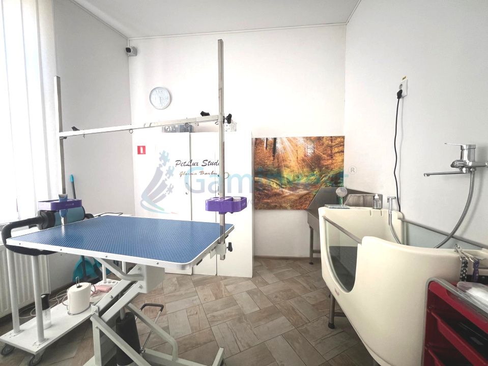 Spatiu comercial de inchiriat in Oradea cu echipament pentru coafura canina – fotografia 4 din 7