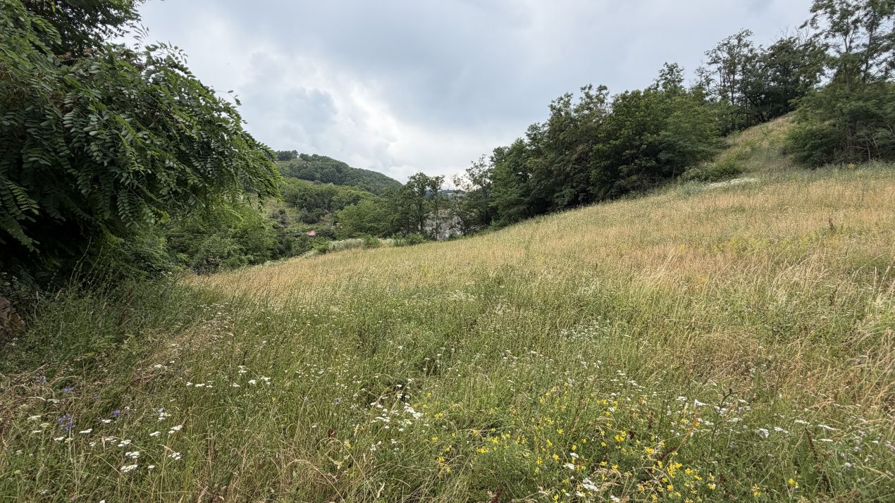 TEREN Intravilan 1257 mp Liziera Pădurii Meteș Platou Cabană la 15 km Alba Iulia – fotografia 5 din 11