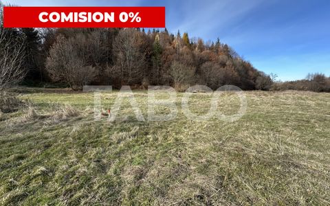 COMISION 0% Teren extravilan 1630 mp langa Rau pe Valea Sebesului