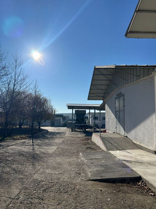 Complex Agroindustrial – Stație Uscare | Condiționare | Depozitare Seminte – fotografia 27 din 31