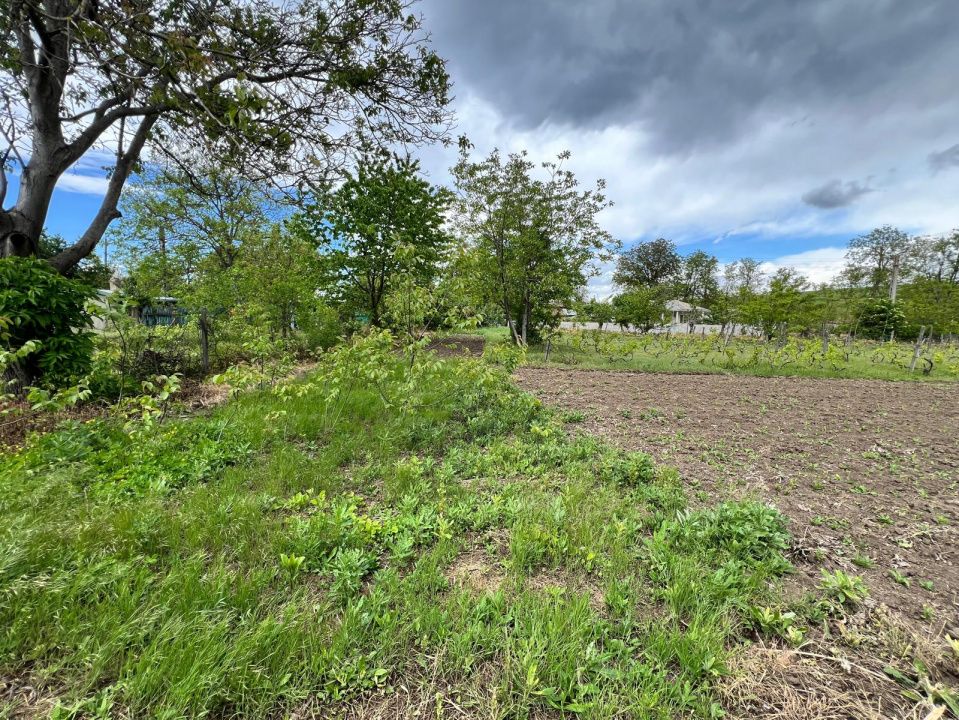 Casă + teren 4430 mp, vie și pomi fructiferi, 22 km de Tecuci – fotografia 16 din 36