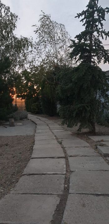 Casa cu teren 1200 mp situata in Localitatea Mihai Kogalniceanu – fotografia 13 din 14