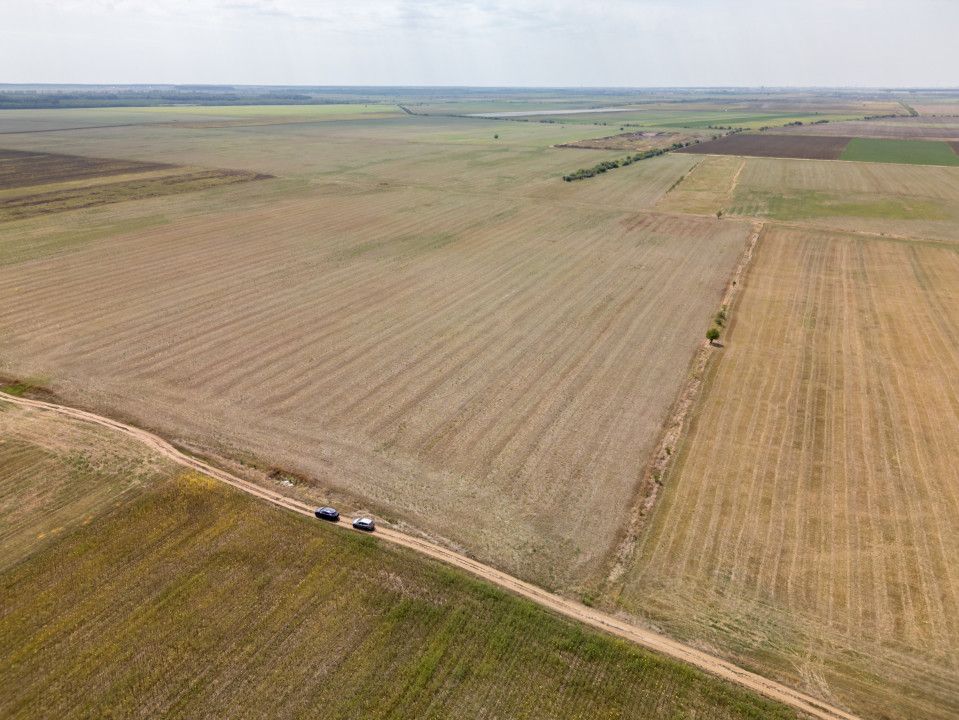 DASCALU - TEREN INTRAVILAN 7500 MP, INVESTITIE! – fotografia 1 din 17