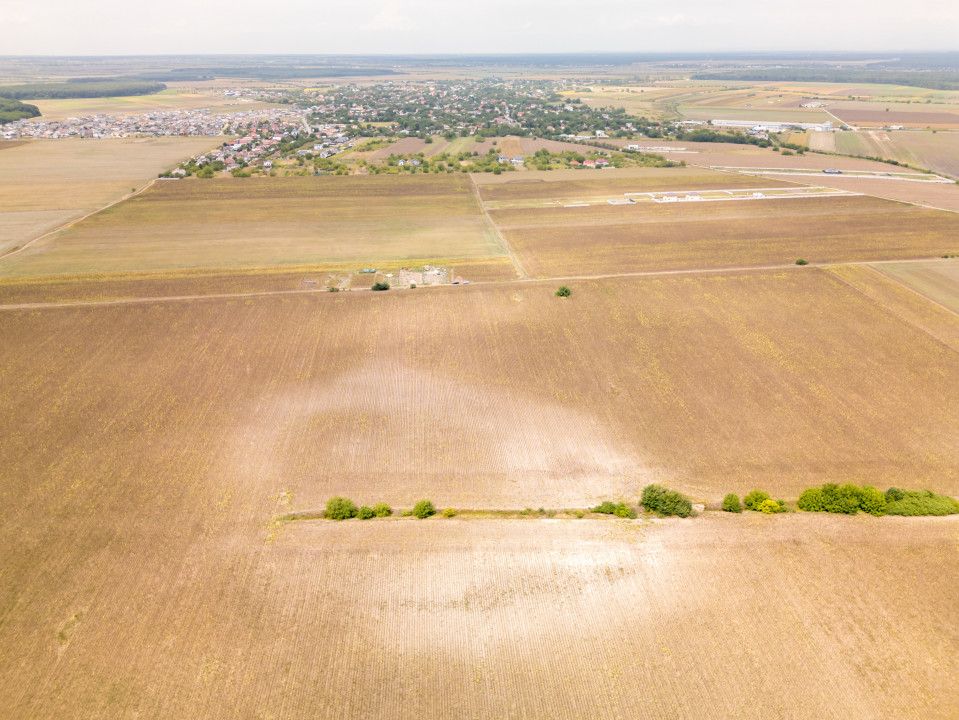 DASCALU – TEREN INTRAVILAN 11300 MP, INVESTITIE! – fotografia 10 din 18