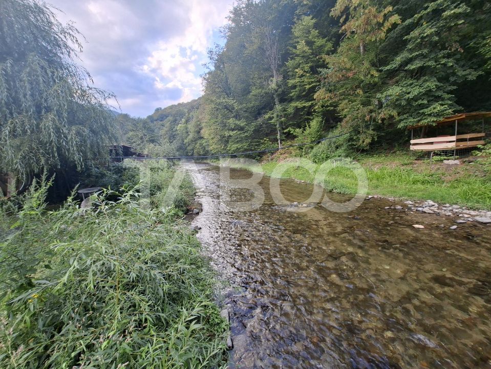 Spatiu de vanzare in Valea Macesului judel Valcea iesire la Lotru – fotografia 23 din 49