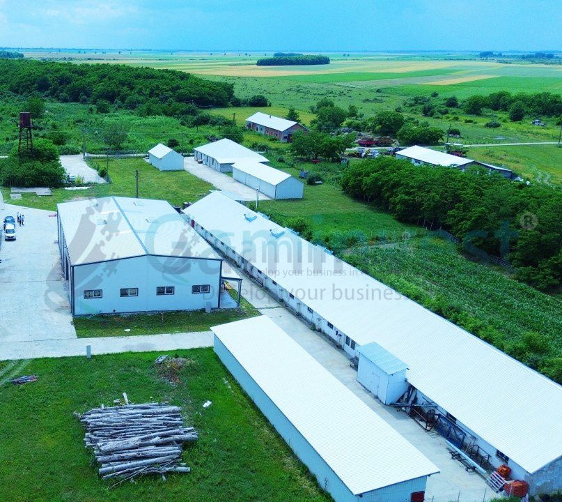 Hala de vanzare cu exclusivitate, la 24 km de Oradea, in Salard, Bihor – fotografia 3 din 16