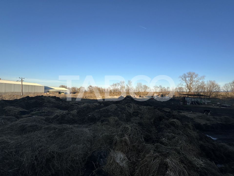 Vanzare hala Industriala cu teren intravilan de 650 mp in Ileni – fotografia 2 din 2