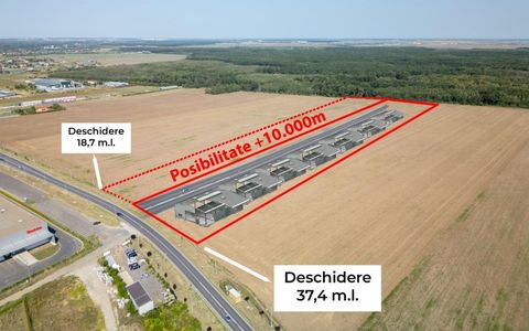 Teren Vanzare Intravilan Branesti investitie Zona Industriala Makita