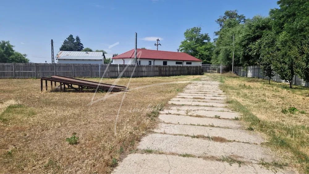 Teren langa padure,aproape de Bucuresti 10 275 mp de liniste. – fotografia 4 din 8