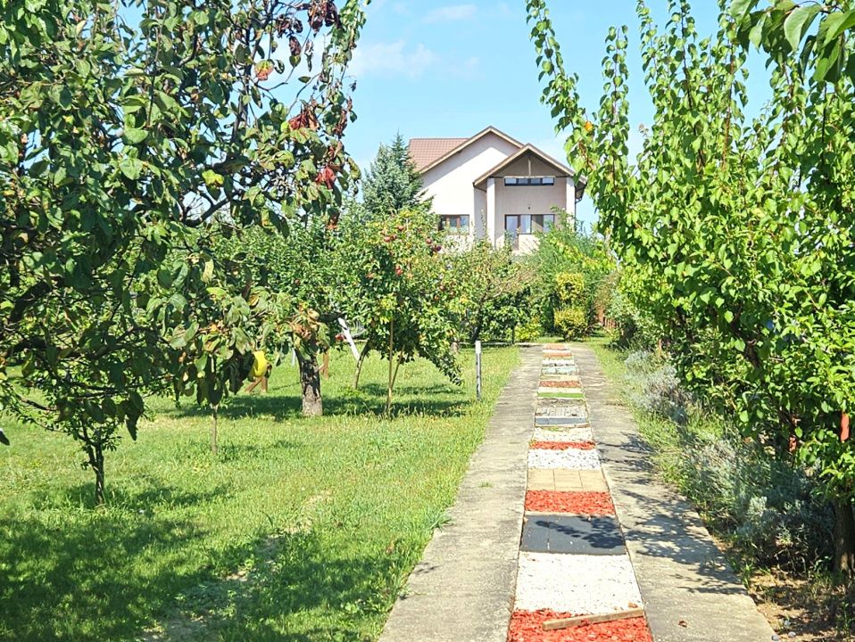 PROPRIETATE DEOSEBITĂ CU POTENȚIAL REZIDENȚIAL ȘI  BUSINESS – MOVILA, NICULEȘTI – fotografia 10 din 23