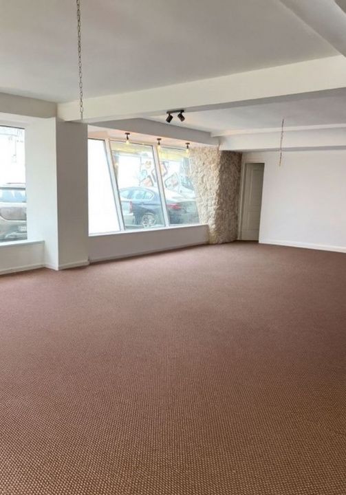 Spatiu Comercial 206 mp. Vanzare CETATE Bulevard Parcare Finisat Utilat complet – fotografia 5 din 10