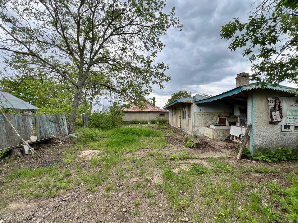 Casă + teren 4430 mp, vie și pomi fructiferi, 22 km de Tecuci – fotografia 11 din 36