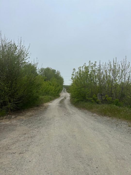 Investitie Litoral! Teren intravilan de vanzare | 46.000mp | Neptun – fotografia 9 din 24
