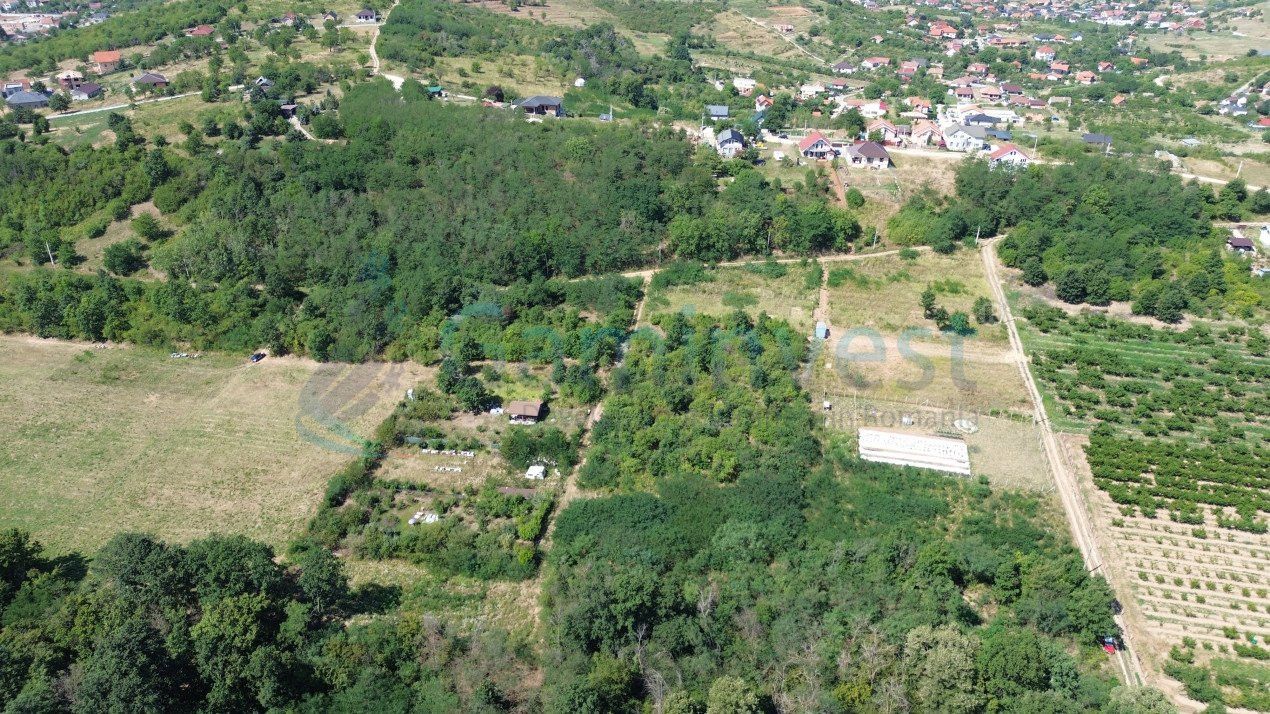 Teren intravilan de vanzare, Paleu, Bihor – fotografia 4 din 8