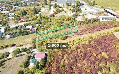 Teren intravilan de 1.800 mp, lângă cramă, Viișoara, Ștefănești, Argeș