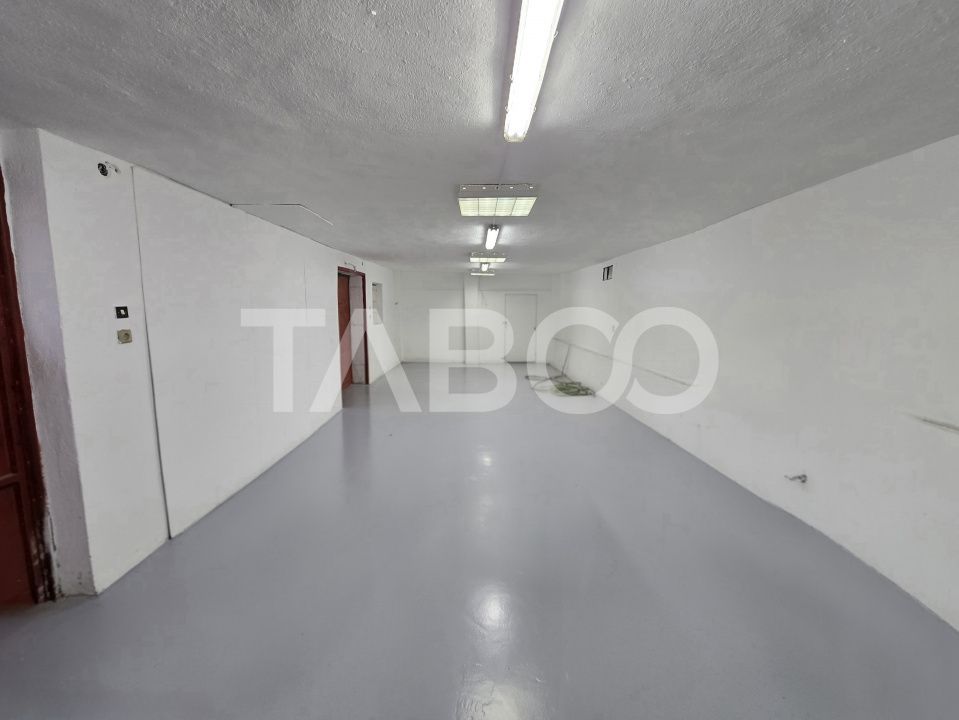 Spatiu industrial cu acces auto de inchiriat 88mp in zona Turnisor – fotografia 5 din 7