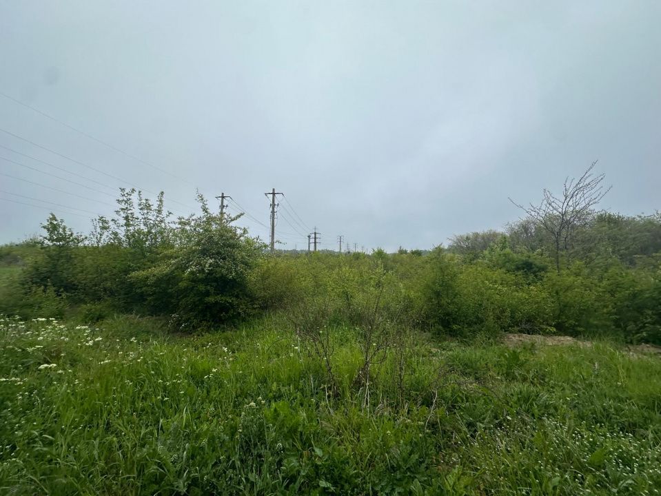Investitie Litoral! Teren intravilan de vanzare | 46.000mp | Neptun – fotografia 1 din 24