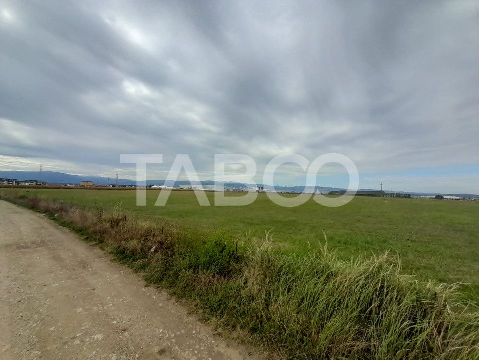 Teren intravilan 2 fronturi de 35 m fiecare 8.000 mp Turnisor Sibiu – fotografia 5 din 9