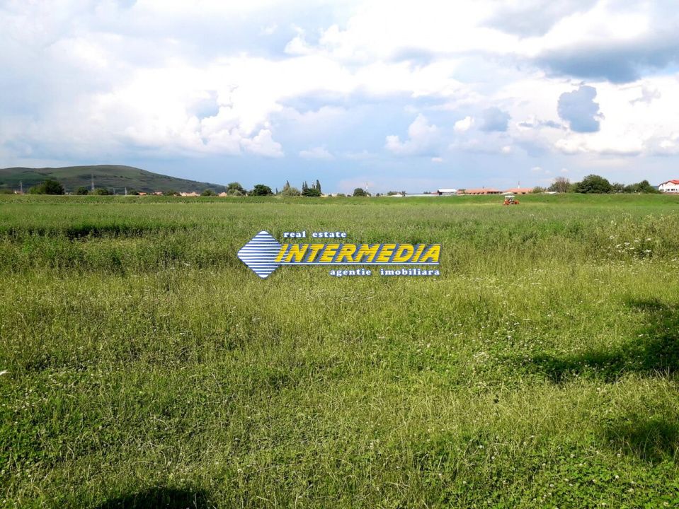 Teren Intravilan 1300mp zona Centru – fotografia 3 din 3
