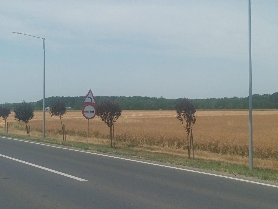 Teren Vanzare Intravilan Branesti investitie Zona Industriala Makita – fotografia 26 din 35