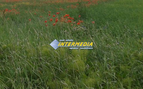 Teren intravilan  600 mp  - 1800 mp zona Valea Popi