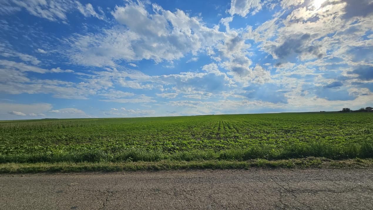 Teren intravilan | PUZ aprobat | 14900 mp | intre Vorovesti si Voinesti – fotografia 3 din 3