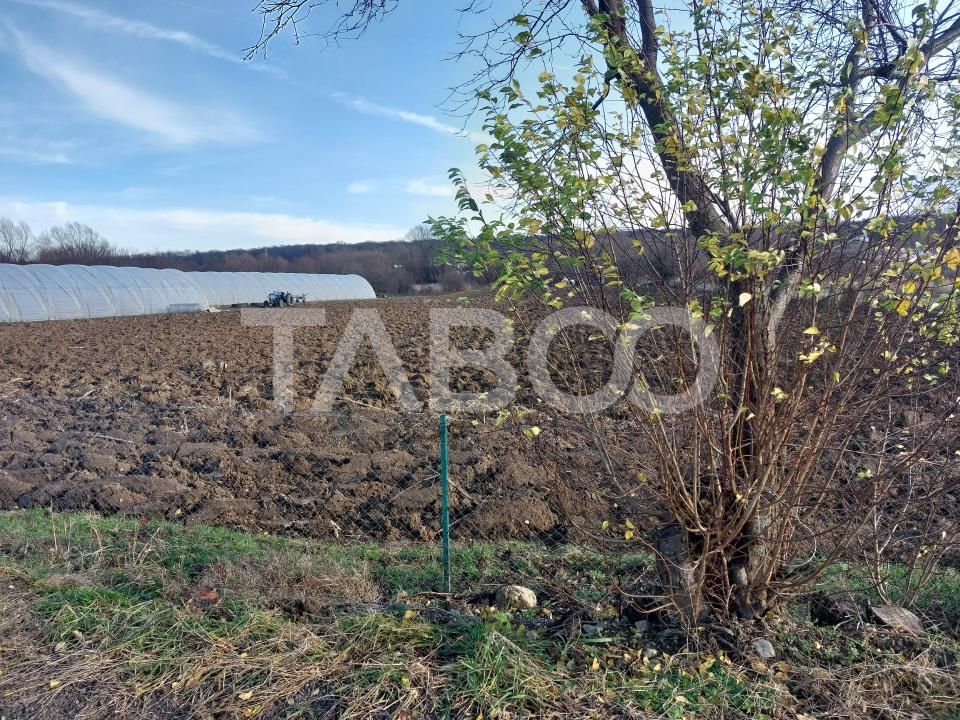 Teren intravilan 1687 mp pentru cabana zona de gradini Cisnadie – fotografia 3 din 7