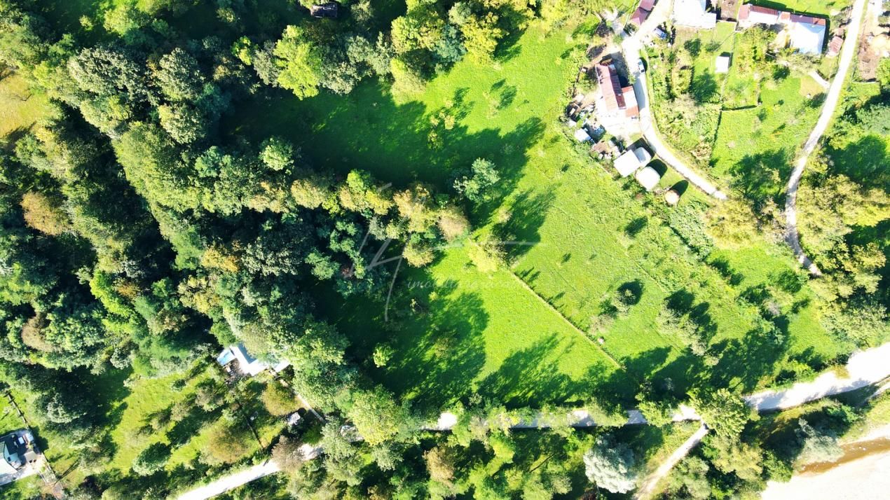 TEREN IN SUPRFATA DE 2870 MP IN PROVITA DE SUS VALEA BRADULUI JUD PRAHOVA – fotografia 3 din 16