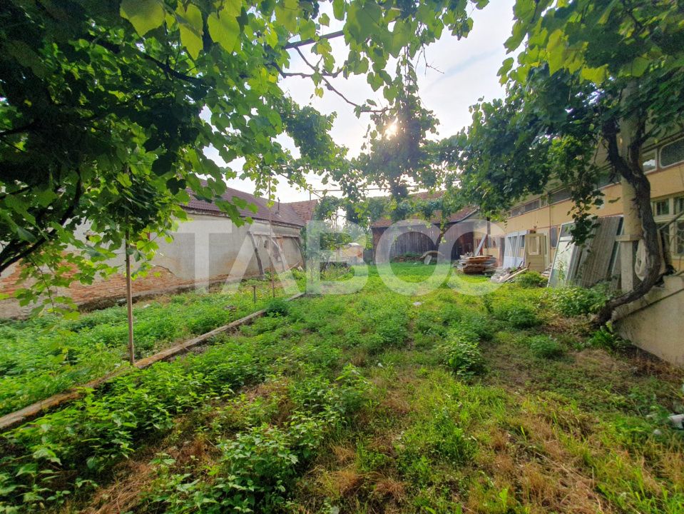 Casa de vanzare in Mandra 140 mp utili curte sura anexe 3 beciuri – fotografia 7 din 8