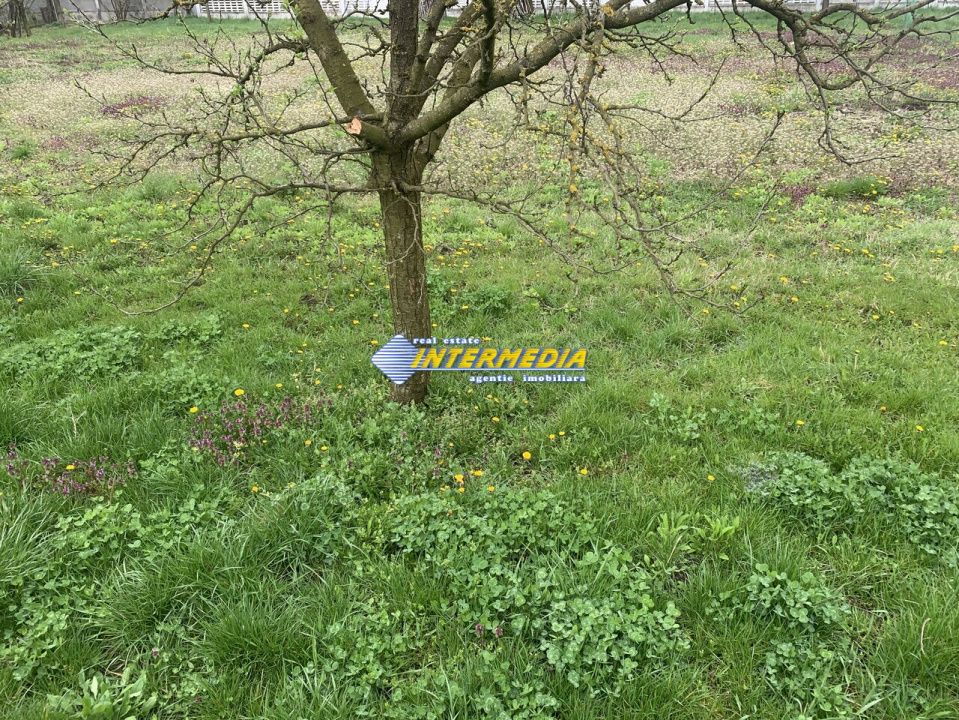 Teren intravilan cu utilitati in cartierul Cetate 946 mp Alba Iulia – fotografia 3 din 4