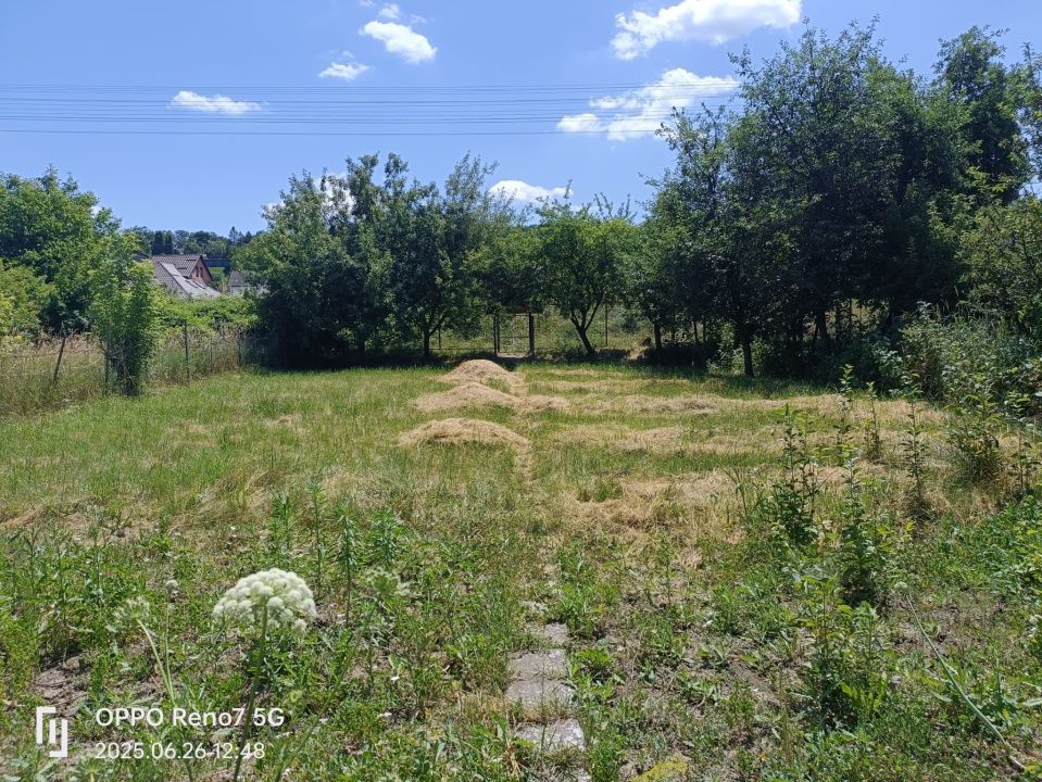 Casă de vânzare sau închiriere cu spațiu comercial Tg Mureș si 13 arii teren – fotografia 13 din 19