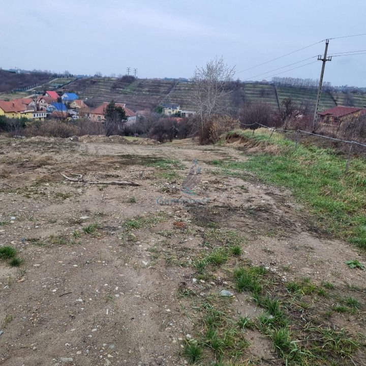 Vanzare Teren intravilan 3133 mp strada Sofiei, Oradea, Bihor - Exclusivitatate – fotografia 5 din 7