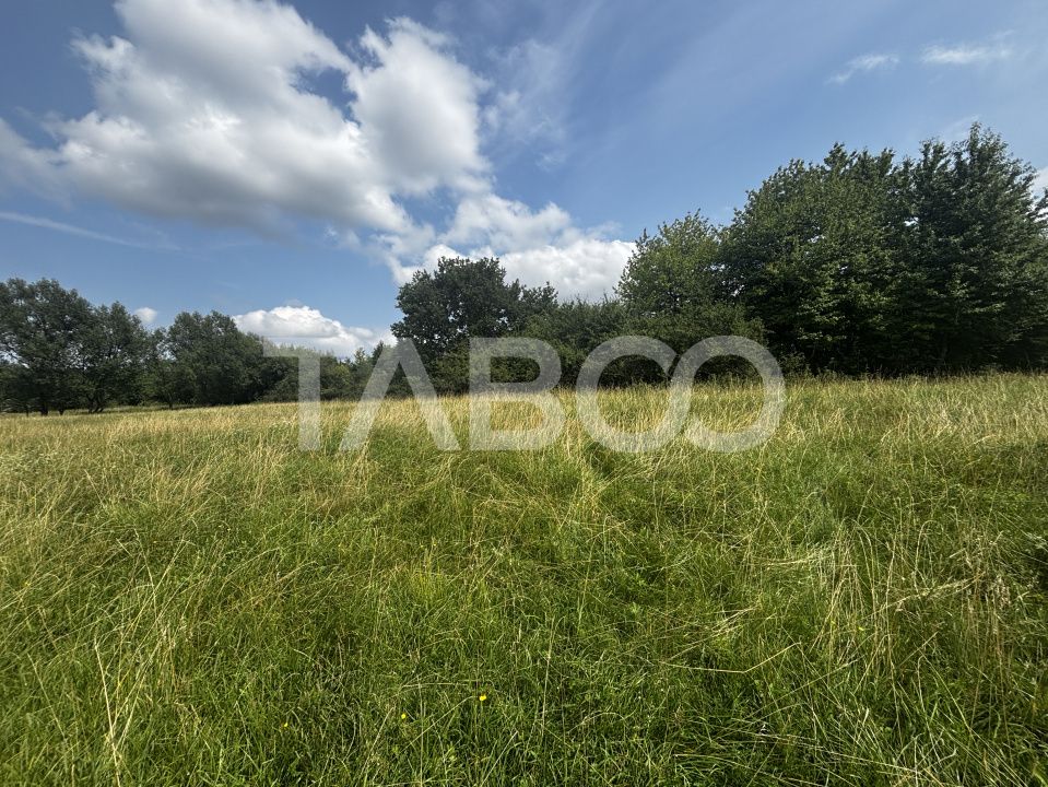 Teren intravilan de 3100mp in zona Tocile Cisnadie Sibiu – fotografia 3 din 4