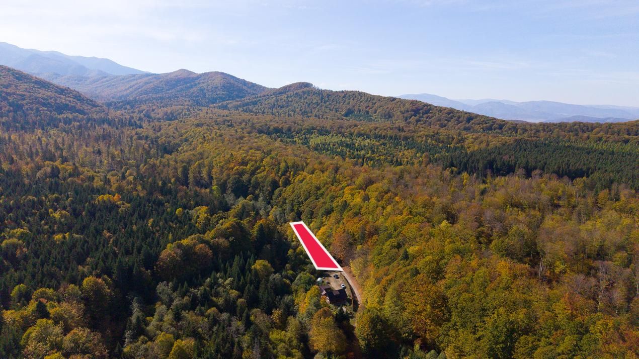Teren 2.000 mp în Valea Avrigului Pădure, apă curgătoare și liniște – fotografia 3 din 10