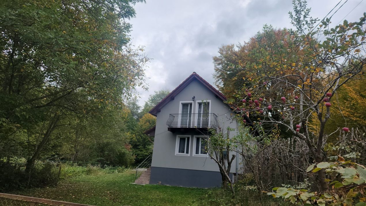 CASA DE VACANTA- VALEA AVRIGULUI-DE VANZARE – fotografia 2 din 9
