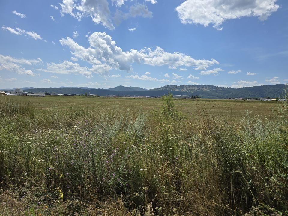 15000 mp teren intravilan industrial – platforma Savinesti, Neamț – fotografia 2 din 2