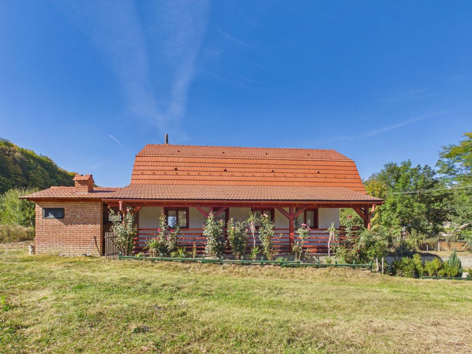Cabana Valea Dobarlaului, 2 garaje, 4648mp teren – fotografia 29 din 33