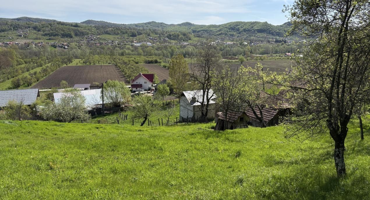 14.613 mp teren | Casă la roșu și 2 case tradiționale | 1,5 km de A1 Tigveni – fotografia 1 din 10