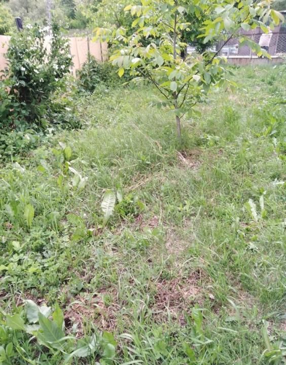 Teren 2500 mp intravilan Smeura – cadru natural, pârâu pe proprietate, utilități – fotografia 4 din 9