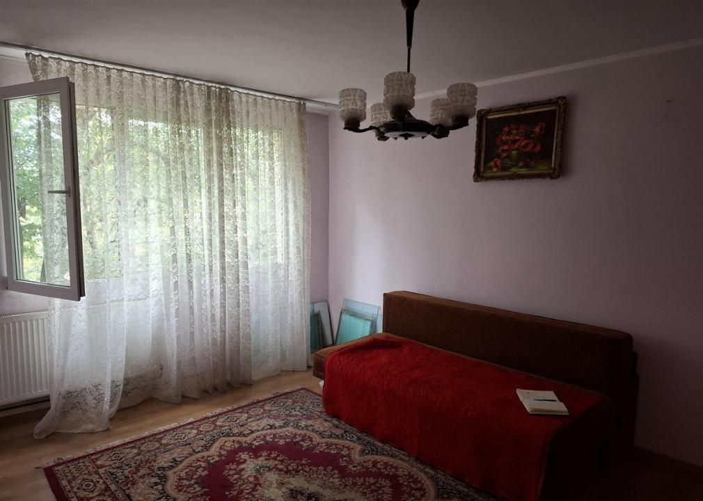 Rahova-3 camere Teius – fotografia 8 din 9