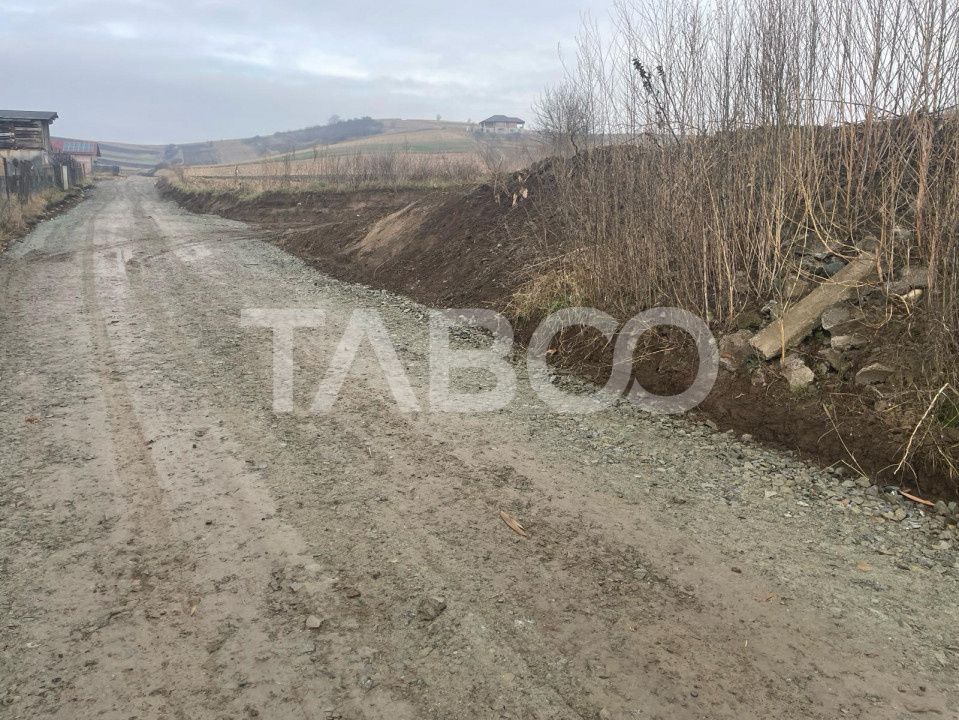 Teren  intravilan 9300 mp de vanzare cu acces la utilitati  Sura Mare – fotografia 2 din 3